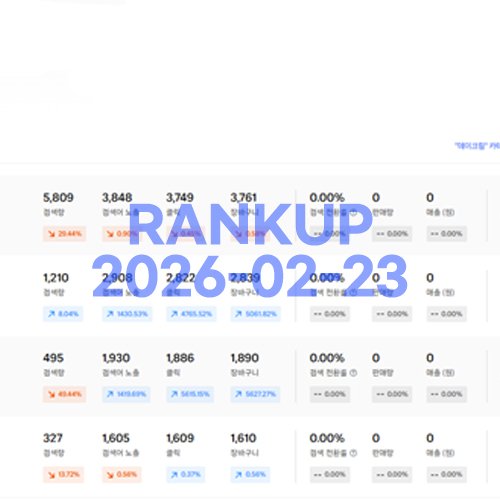순위 상승 인증 이미지